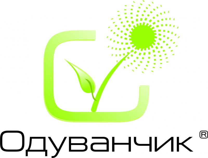 одуванчик.jpg